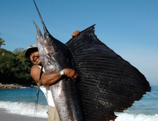 Pesca Deportivas